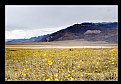 Picture Title - Painted desert II