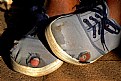 Picture Title - Hole -e- Shoes