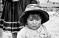 Picture Title - WEEPING BOLIVIA