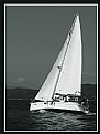 Picture Title - Sailing day