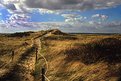 Picture Title - Cedar Tree Neck, Martha\'s Vineyard