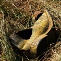 Picture Title - Abandoned Boot