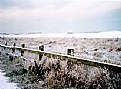 Picture Title - fence in snow