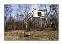 Picture Title - Basketball field