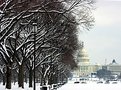 Picture Title - Capitol Winter