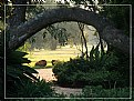 Picture Title - Arch