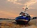 Picture Title - waiting in the estuary