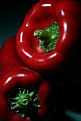 Picture Title - Chiles