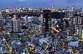 Picture Title - Tokyo at night