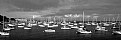Picture Title - Boats Monterey Bay