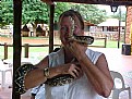 Picture Title - Hug-a-Snake...