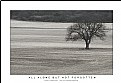 Picture Title - ALL ALONE...