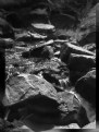 Picture Title - Experimental B&W Stream