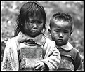 Picture Title - Children of Vietnam