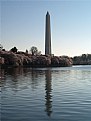 Picture Title - Washington Monument