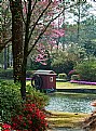 Picture Title - Lakeside Garden