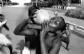 Picture Title - Coconut (IVory Coast)