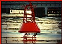 Picture Title - Red Buoy - Southbank