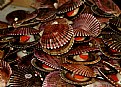 Picture Title - Mariscos
