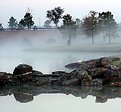 Picture Title - Early Morning Fog