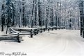 Picture Title - RAIL FENCES IN SNOW