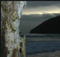 Picture Title - Groynes- Night time guise #2