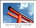 Picture Title - Tori at Fushimi-Inari-Taisha