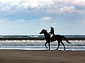 Picture Title - Beach Rider