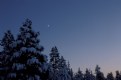 Picture Title - winter moon