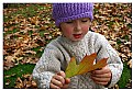 Picture Title - his leaf