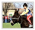 Picture Title - "equestrian"