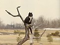 Picture Title - Inconspicuous!