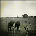 Picture Title - Two Brothers And One Pony