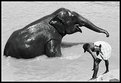 Picture Title - A Man and his Elephant