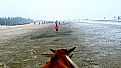 Picture Title - morning at Tinh Gia beach