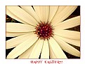 Picture Title - EASTER WISHES...