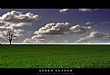 Picture Title - green season