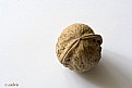 Picture Title - sad nut