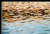 Oil painted water