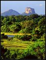 Picture Title - Sigiriya Sunrise