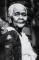 Picture Title - Bayon elder