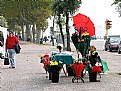Picture Title - ombrelli fioriti