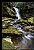 Hareshaw Linn 1