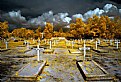 Picture Title - Graveyard
