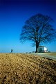 Picture Title - Tree - Man - Chapel