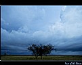 Picture Title - Face of the Storm