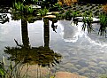 Picture Title - Pan Reflection