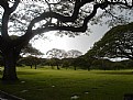 Picture Title - Punchbowl Cemetery