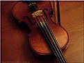 Picture Title - The Violin