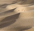 Picture Title - desert